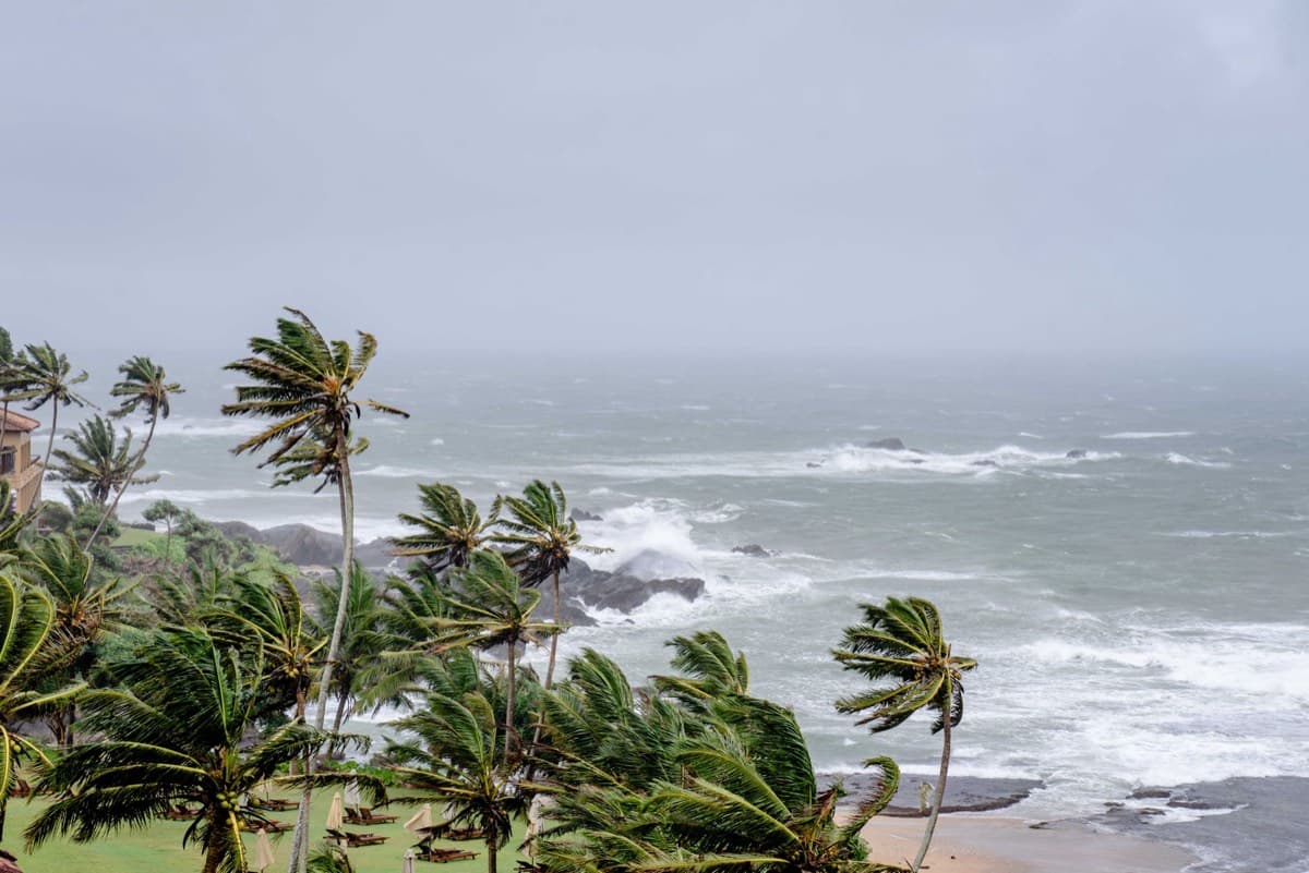 Monsoon Arrives Early Across the Coastal Belt, Easing Heatwave